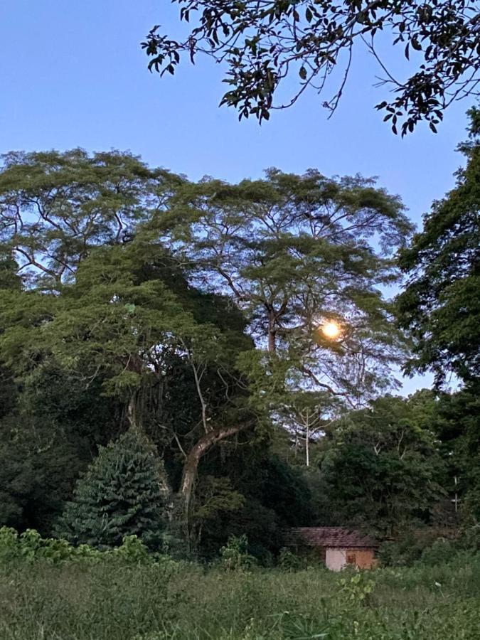Recanto Da Floresta - Casa De Campo Em Secretario Petrópolis Exterior foto